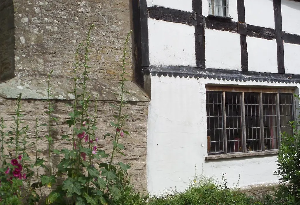 Walford Court-1
